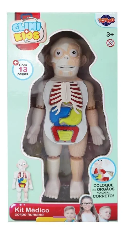 Brinquedo Boneco Corpo Humano 24cm Brincar de Medico Toyng